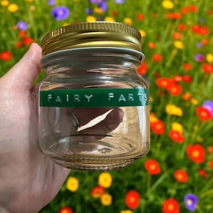 Può includere: Un piccolo barattolo di vetro trasparente con coperchio dorato. Un'etichetta verde con le parole "FAIRY FARTS" è avvolta attorno al barattolo. Il barattolo è tenuto in una mano, con un campo di fiori colorati sullo sfondo.