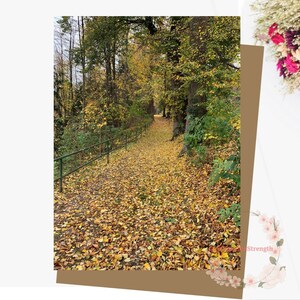 Österreich Foto Geburtstagskarte Karte Herbst Herbst Download Karte Österreich Foto Karte Karte Karte Herbst Herbst Download Karte Europa, Weitra, w/Umschlag 13x18cm