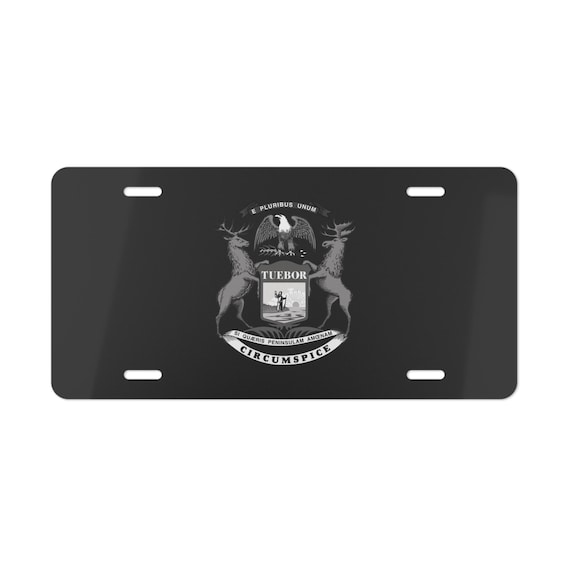 Michigan License Plate Decor Custom Michigan License Plate Key Rack: Organize Your Keys — CityLocs