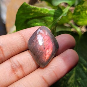 May include: A diamond-shaped gemstone, displaying a mix of purple and pink tones. The polished surface reflects light, creating a play of colours. The gemstone is held in a hand, with green foliage in the background.