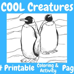 COOL Creatures - 94 Printable Coloring & Activity Pages
