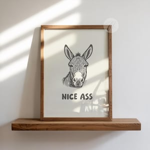 May include: A framed print featuring a detailed black and white illustration of a donkey's face. The text "NICE ASS" is printed below the donkey. The frame is made of wood and the print is displayed on a wooden shelf.