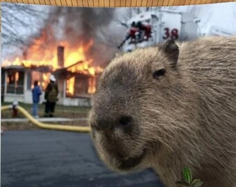 Capybara Meme Face Masks for Sale