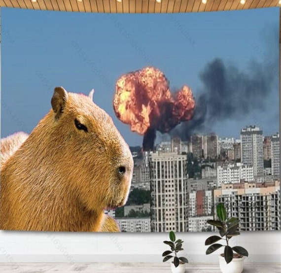 Capybara Meme Tapestry Dorm Room Decorations, Wall Decor, Funny