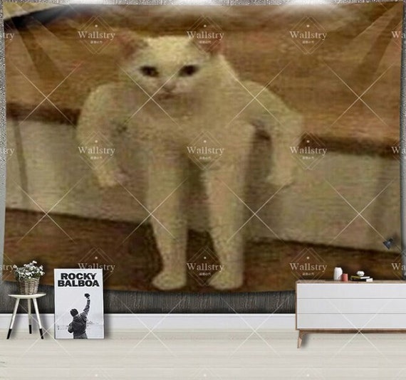 Funny Cat Meme Blur Tapestry for Sale by volkaneeka