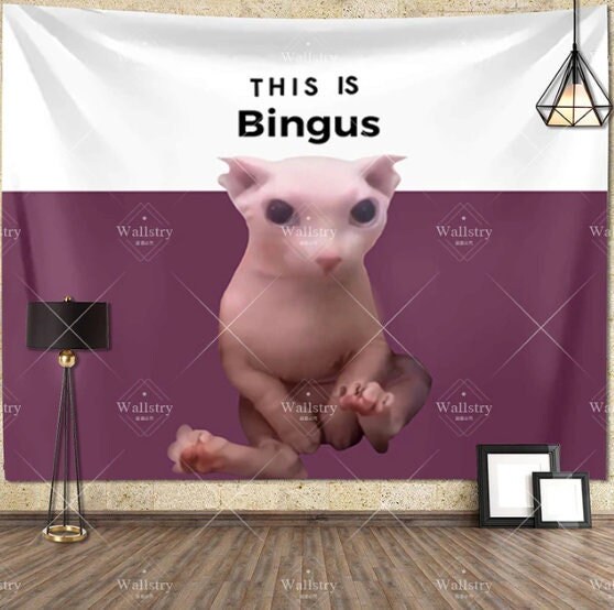 Bingus Tapestry Wall Hangings Dorm Room Decor Banner Frat 