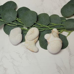 May include: Three white, organic-shaped stones with a rough texture, arranged on a white marble surface with green leaves.