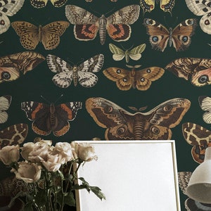 Dark vintage butterfly Wallpaper, Peel&Stick and Traditional Wallpaper, Removable and Renter friendly Wall Decor, Vintage, Self Adhesive.