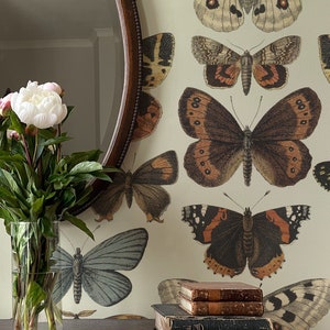 Vintage wallpaper.  Beige background with colorful butterflies.