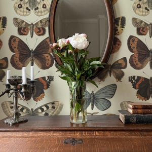 Vintage Wallpaper Peel and Stick | Cute Neutral Wallpaper for Living Room | Modern Butterflies Traditional Non-Woven Wallpaper | ANI15