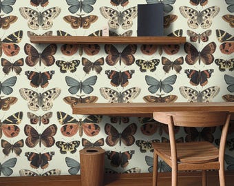 May include: Wallpaper featuring a repeating pattern of various butterfly species in shades of brown, gray, orange, and black on a cream background. A wooden shelf and desk are mounted against the wall, with a wooden chair in the foreground.