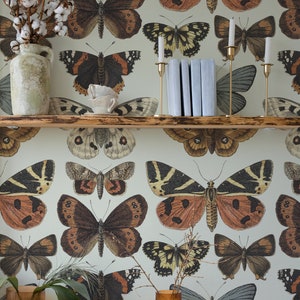 Beige vintage butterfly Wallpaper, Peel&Stick and Traditional Wallpaper, Removable and Renter friendly Wall Decor, Vintage, Self Adhesive. image 2