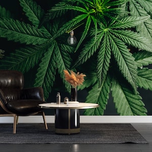 Carta da parati Marijuana, Foglie, foglie di canapa marijuana, Carta da parati Nero Verde, Stacca e attacca, Carta da parati scura, autoadesiva, Carta da parati tessile