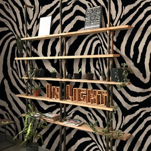 May include: A multi-tiered wooden shelf unit with metal piping supports, displaying potted plants, magazines, and a lighted sign that reads "IN LIGHT." The backdrop is a black and white zebra stripe pattern.