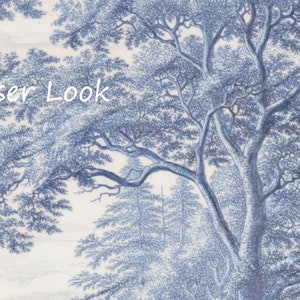 Puede incluir: Un primer plano de una ilustraci&oacute;n azul y blanca de un bosque con &aacute;rboles y ramas. El texto "Closer Look" est&aacute; escrito en blanco en la parte superior de la imagen.