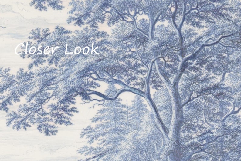 Puede incluir: Un primer plano de una ilustraci&oacute;n azul y blanca de un bosque con &aacute;rboles y ramas. El texto "Closer Look" est&aacute; escrito en blanco en la parte superior de la imagen.
