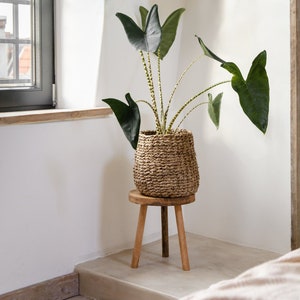 Seagrass basket Mali Pai, plant basket, living room basket, decorative basket, natural, handmade