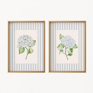 May include: Two framed floral prints featuring watercolor hydrangeas. Each print has a gold frame and a light blue and white striped background. The hydrangeas are light blue and green, with detailed leaves and stems.