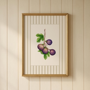 Impression numérique de figue inspirée de Nancy Meyers - art botanique vintage, petite-fille côtière, grand-millénaire, illustration botanique d&#39;art de cuisine
