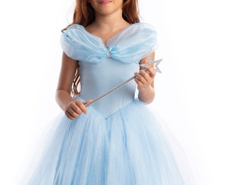 Princess Cinderella Dress in Blue for Girls, Girls’ Cinderella Costume, Kids Birthday Party Costumes, Tutu Dress.