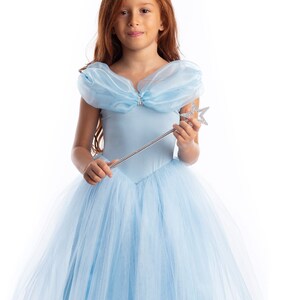 Cinderella dress online shopping online