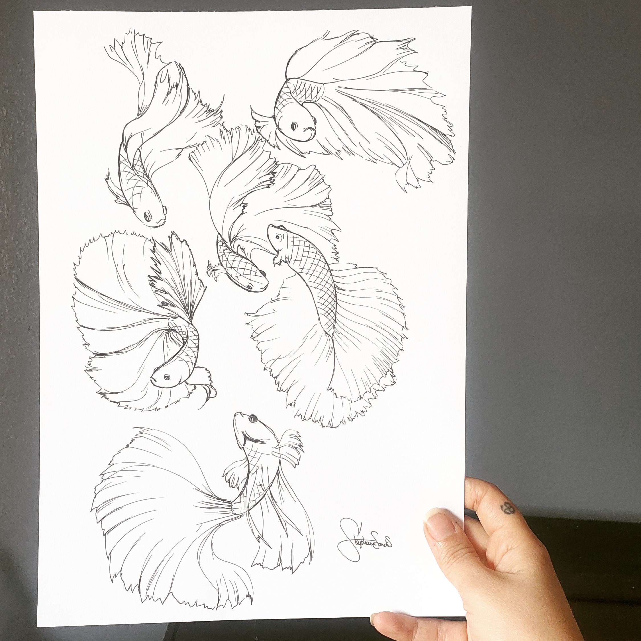 Illustration Poissons Combattants Noir et Blanc, Exemplaire Unique