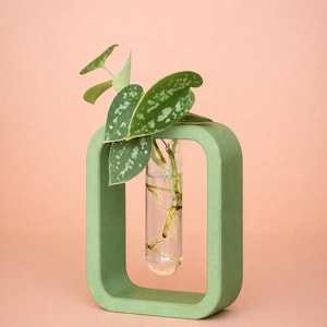 Estación de propagación de plantas: Conjunto de soporte y tubo de vidrio para esquejes / Varias opciones de color