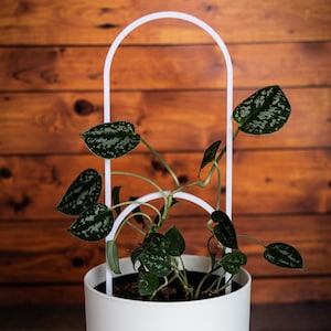 Double Arch Plant Trellis – 3D Printed Support to Help Your Plants Climb | Eco-Friendly | 3 Sizes, Many Colors