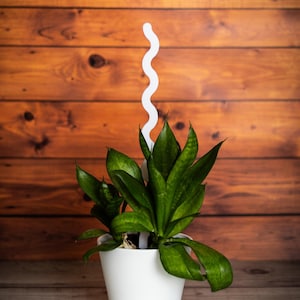 Wave Plant Trellis – Curvy 3D Printed Stick Support to Help Your Plants Climb | Eco-Friendly | 3 Sizes, Many Colors