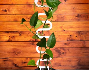 Traliccio modulare extra lungo per piante a forma di onda - Fino a 89 cm! Supporto che cresce con la tua pianta / Striscia in velcro gratuita, molti colori disponibili