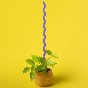 Può includere: Una piccola pianta in vaso con foglie verde brillante e un vaso giallo-marrone. Una linea viola ondulata si estende verso l'alto dalla pianta contro uno sfondo giallo brillante. Il vaso ha un motivo a pois strutturato.