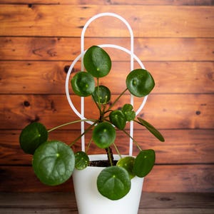 Arch + Circle Plant Trellis – 3D Printed Support to Help Your Plants Climb | Eco-Friendly | Many Colors