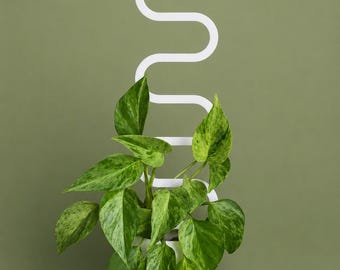 Treliça para plantas de primavera: suporte curvo para ajudar suas plantas a trepar | Ecológica | 3 tamanhos, diversas cores