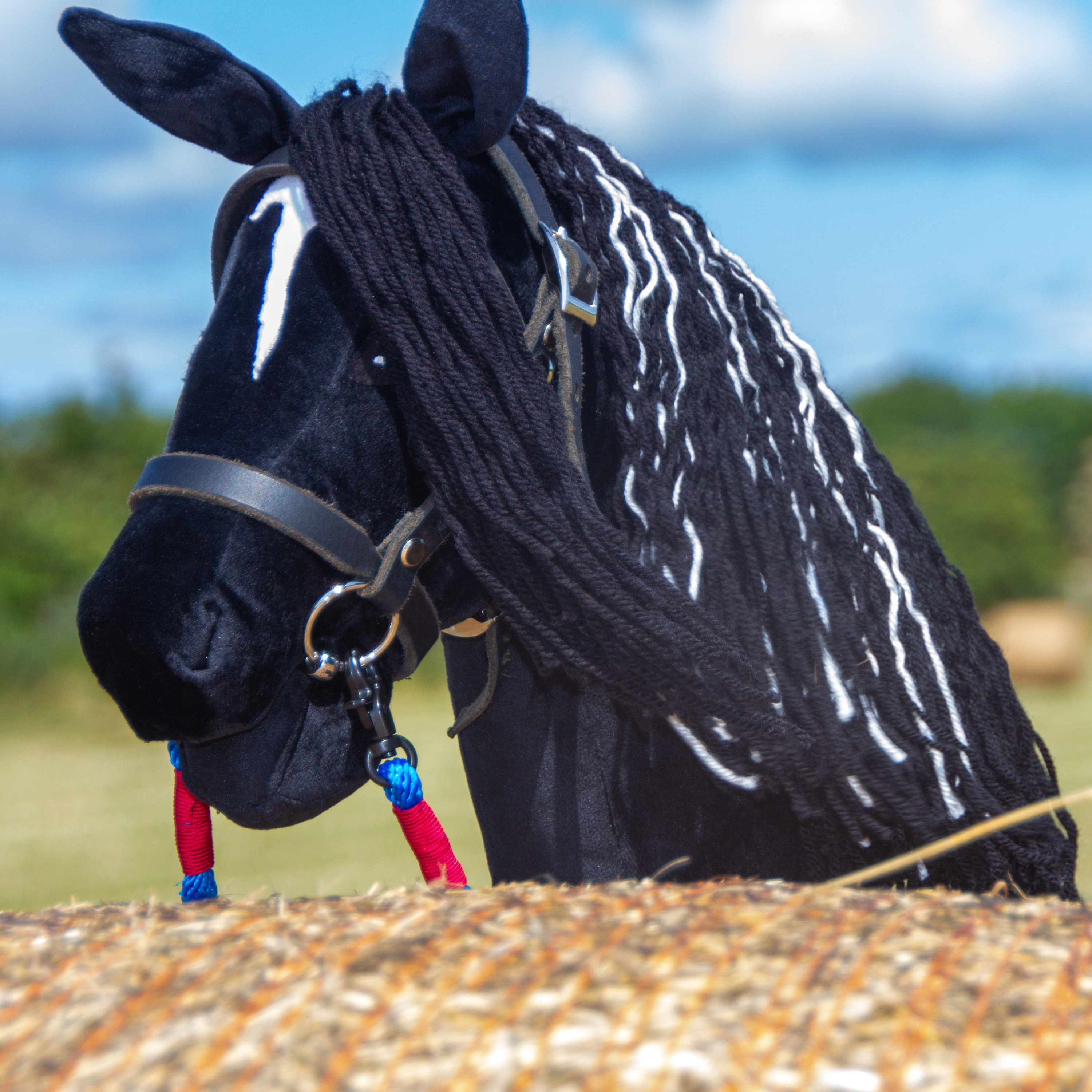Jeu équestre Enfant Hobby Horse Perlino Beige A3 - Cheval Bâton Complet Avec Accessoires Jouet Sportif équitation Jeu équestre Enfant Hobby Horse Perlino Beige A3 - Cheval Bâton Complet Avec Accessoires Jouet Sportif équitation