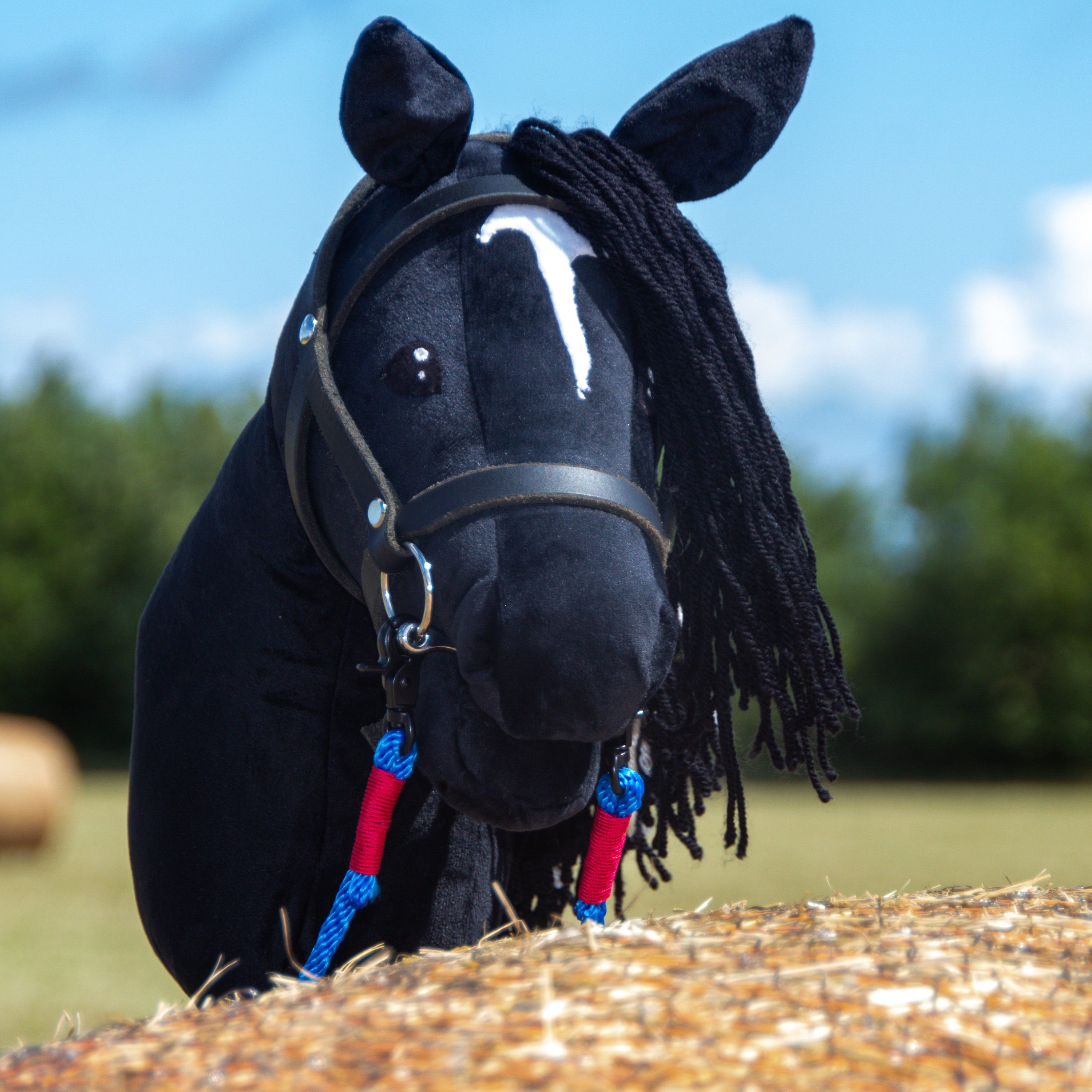 Hobby Horse „Pie“ Schwarz-weiß – Stabpferd Mit Zubehör | Für Kinder Ab 6 Jahren, Inkl. Netz, Zügel, Halfter & Mütze