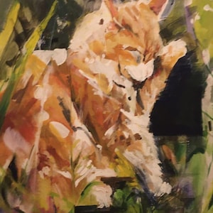 Ginger Cat - Oil or Acrylic On Canvas - Unknown Artist