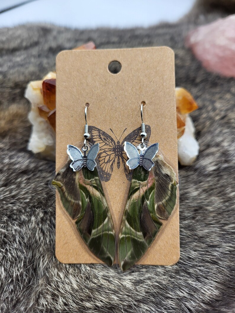 Daphnis Nerii, Oleander Hawkmoth, Handmade Earrings, Unique Jewelry
