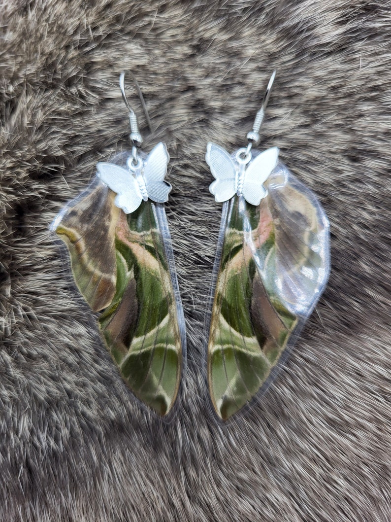 Daphnis Nerii, Oleander Hawkmoth, Handmade Earrings, Unique Jewelry