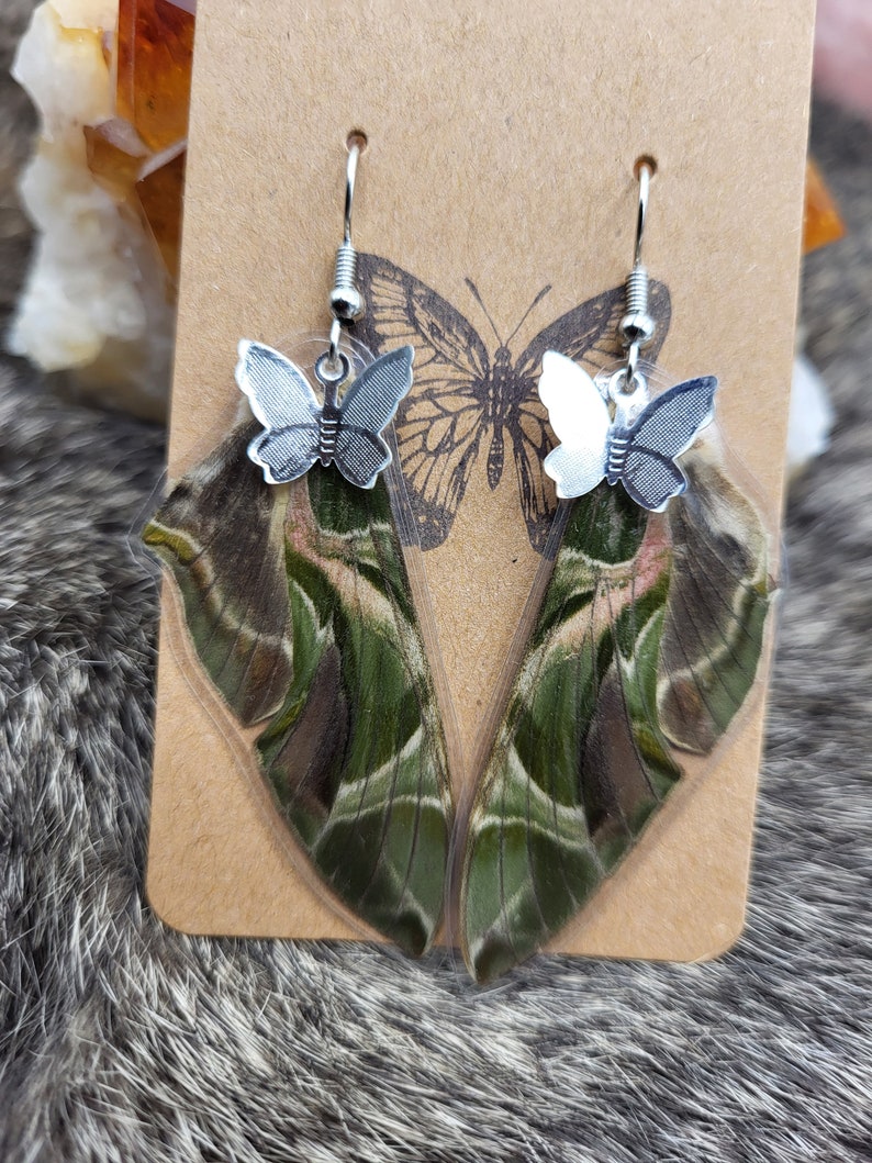 Daphnis Nerii, Oleander Hawkmoth, Handmade Earrings, Unique Jewelry Etsy
