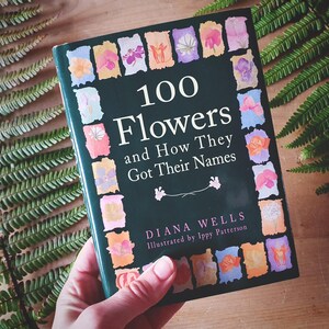 Philodendron Book - Etsy UK