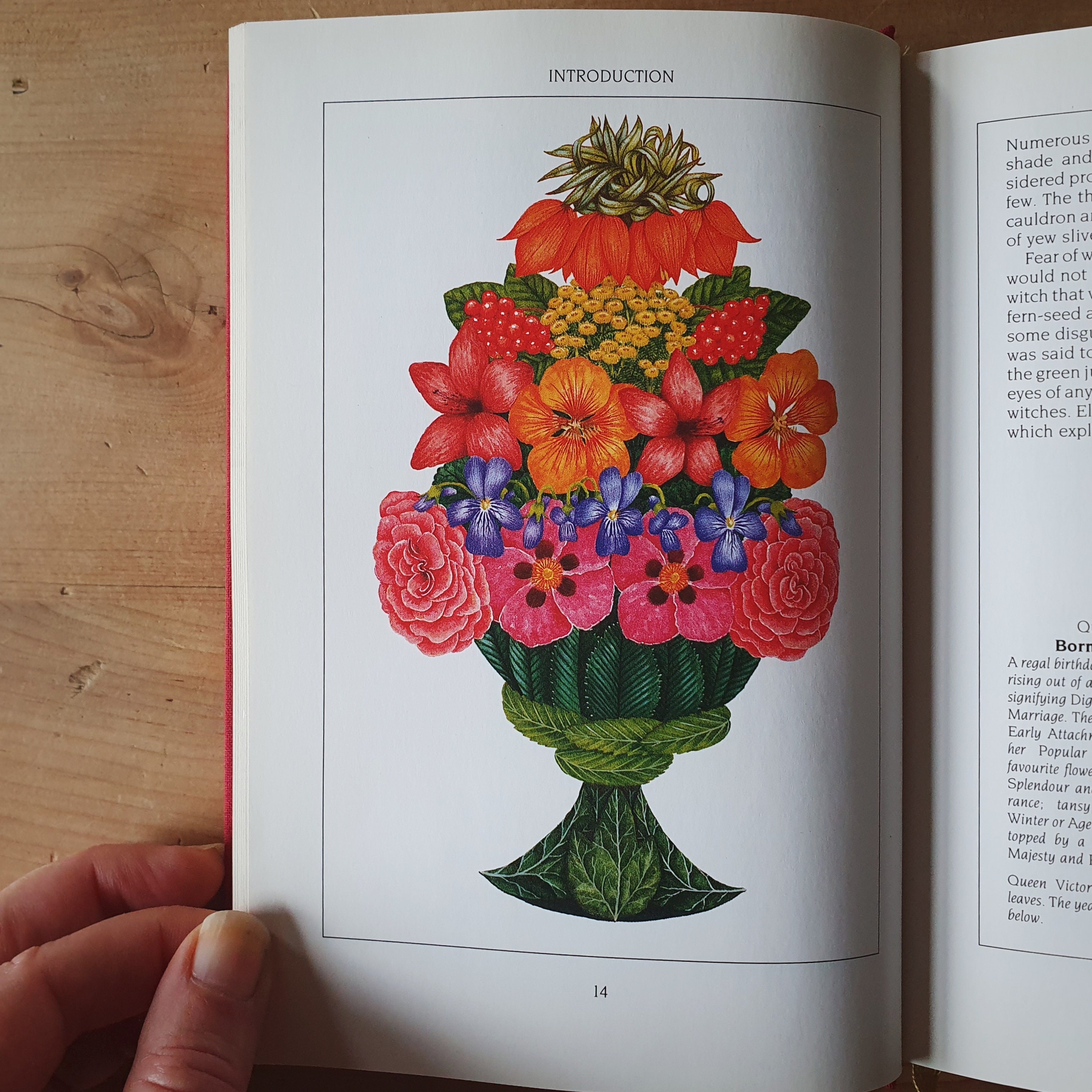 洋書　Flowers：ゲイリー・ブコヴニク（絵画集：水彩画、版画） 水彩画 ｢petite fleur｣（絵画、和紙ボードに水彩） 絵画 Kenro