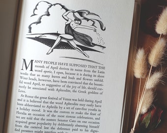 Gentle vintage nature book. 'The Twelve Months.' Lovely seasonal notes and illustrations of rural English country life.