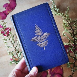 1860s antique fern book. Moore "The Fern and it's Allies". Colour illustrated. Scarce + very lovely. Vintage Victorian fern book.