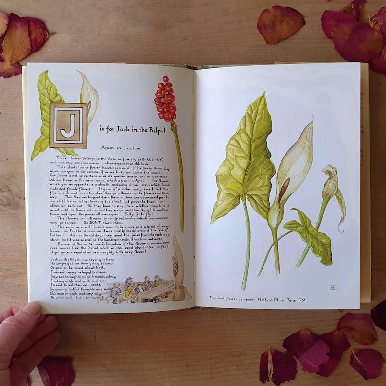 Very pretty vintage flower book an illustrated A to Z of flowers. One for your arty garden pal. Romantic! image 5
