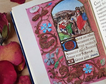Vintage book of hours. Illuminated manuscript style book. Gothic! Medieval! Gorgeous. Striking colour plates in a dinky size.