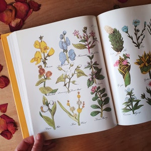 Livre d'herbes aromatiques vintage classique. Culpepers complet à base de plantes. Aspects culinaires, historiques et médicinaux des herbes courantes. Joyau du potager.