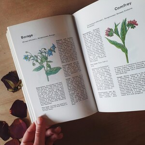 Vintage plant and herb book. Medicinal aspects of common plants & herbs. Kitchen garden gem. Witchy!