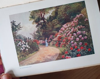 Gorgeous vintage garden book dedicated to Kew gardens. Pretty watercolours of an iconic English garden. Gift for nature lovers + art fans.