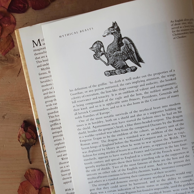 May include: Open book with the title "Mythical Beasts" and an illustration of a griffin. The page is slightly open, revealing text and a detailed black and white drawing. Dried leaves are scattered around the book.