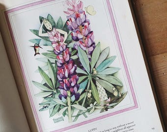 Rare Flower Folk illustrated childrens book. 1936 First Edition. One for Flower Fairies fans.